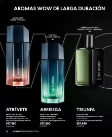 Catálogo Cyzone Página 30