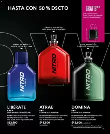 Catálogo Cyzone Página 31