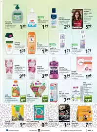 CITTI Markt Prospekt woche 31 Seite 25