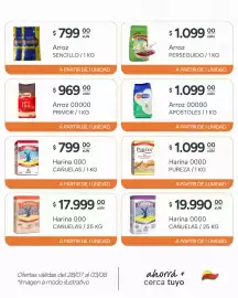 Catálogo El Milagro Mayorista semana 31 Página 15