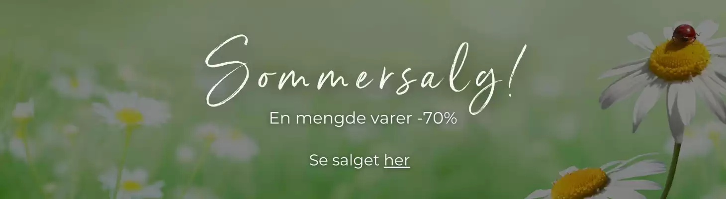 Feel (gyldig til 11-08)