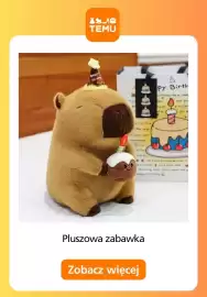 Temu gazetka Strona 10