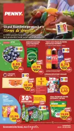 Catalog Penny săptămâna 31 Pagină 1