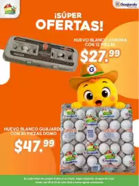 Folleto Guajardo Página 11