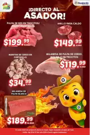 Folleto Guajardo Página 15