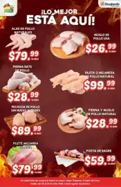 Folleto Guajardo Página 16