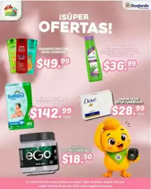 Folleto Guajardo Página 17
