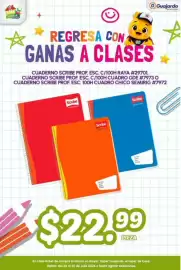 Folleto Guajardo Página 19