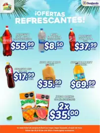 Folleto Guajardo Página 7