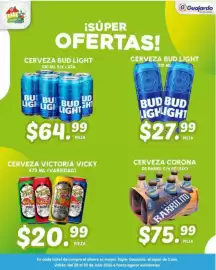 Folleto Guajardo Página 8