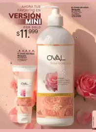 Catálogo Marketing Personal Página 31