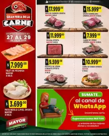 Catálogo Supermercados Mayor Página 1