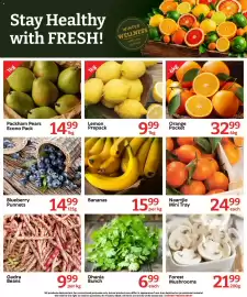 Oxford Freshmarket catalogue week 31 Page 5