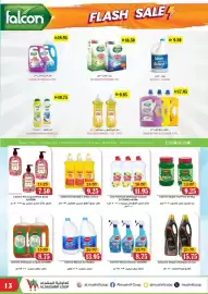 Al Mushrif Co-Operative Society catalogue Page 13