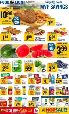 Food Lion (valid until 4-08)