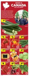 Dominion flyer week 31 Page 12