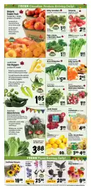 Farm Boy flyer week 31 Page 4