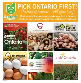 Fortinos flyer week 31 Page 11