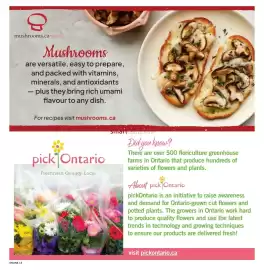 Fortinos flyer week 31 Page 14