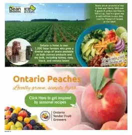 Fortinos flyer week 31 Page 15