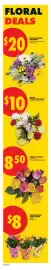 No Frills flyer week 31 Page 11