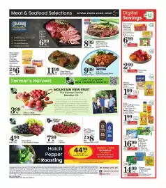 Pavilions weekly ad week 31 Page 4
