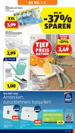 Hofer Flugblatt woche 31 Seite 29
