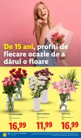 Catalog Lidl săptămâna 32 Pagină 56