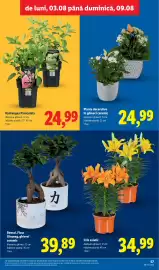 Catalog Lidl săptămâna 32 Pagină 57