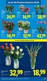 Catalog Lidl săptămâna 32 Pagină 59