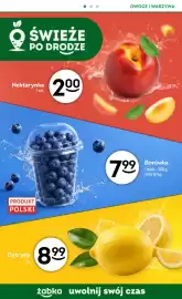 Żabka gazetka Strona 7