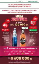 Żabka gazetka Strona 17