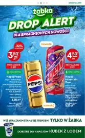 Żabka gazetka Strona 7