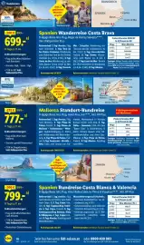 Lidl Flugblatt Seite 10
