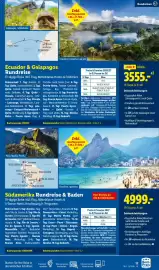 Lidl Flugblatt Seite 17