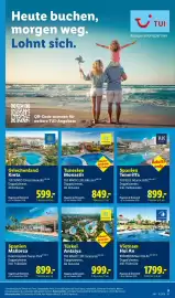 Lidl Flugblatt Seite 9