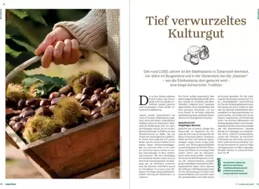 Lagerhaus Flugblatt Seite 15
