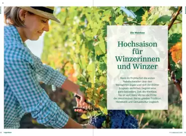 Lagerhaus Flugblatt Seite 17