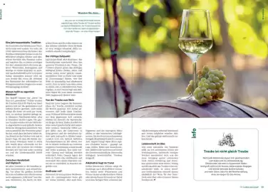 Lagerhaus Flugblatt Seite 18