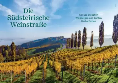 Lagerhaus Flugblatt Seite 19