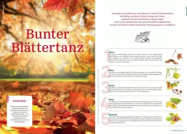Lagerhaus Flugblatt Seite 5