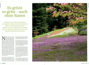 Lagerhaus Flugblatt Seite 9