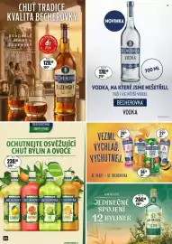 Adam leták Strana 24