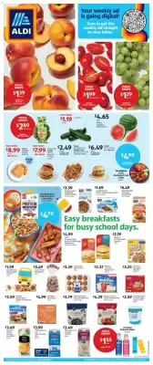 Aldi (valid until 4-08)