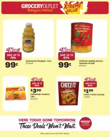 Grocery Outlet weekly ad week 31 Page 9
