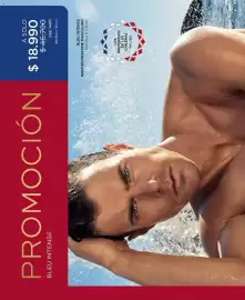 Catálogo L'Bel Página 8