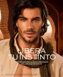 Catálogo L'Bel Página 96