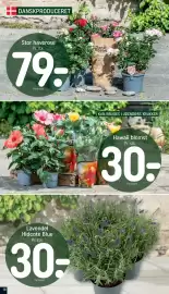 REMA 1000 tilbudsavis uge 32 Side 19