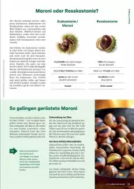 Lagerhaus Graz Land Flugblatt Seite 25
