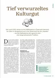 Lagerhaus Graz Land Flugblatt Seite 29